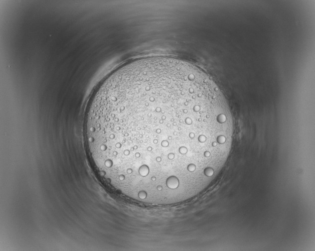 X0000060770004200512011624