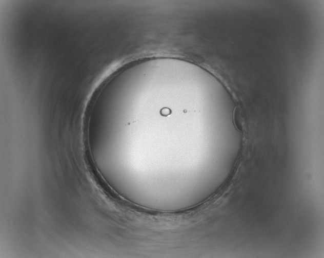 X0000060770008200512011624