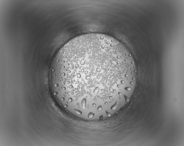 X0000060770010200512011624