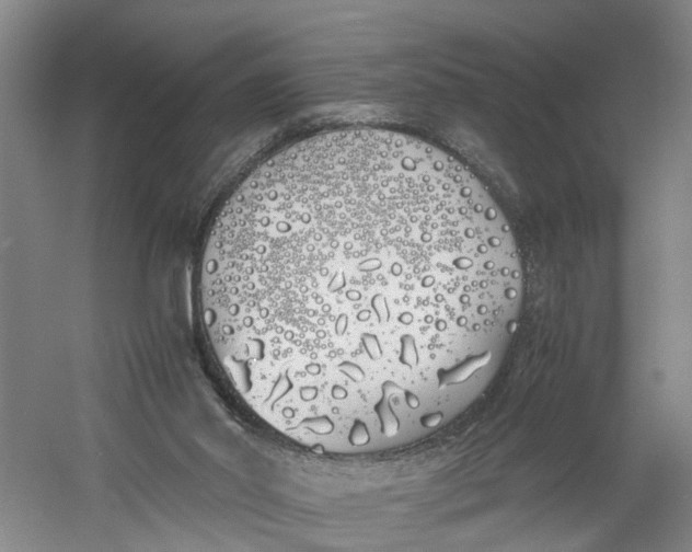 X0000060770014200512011624