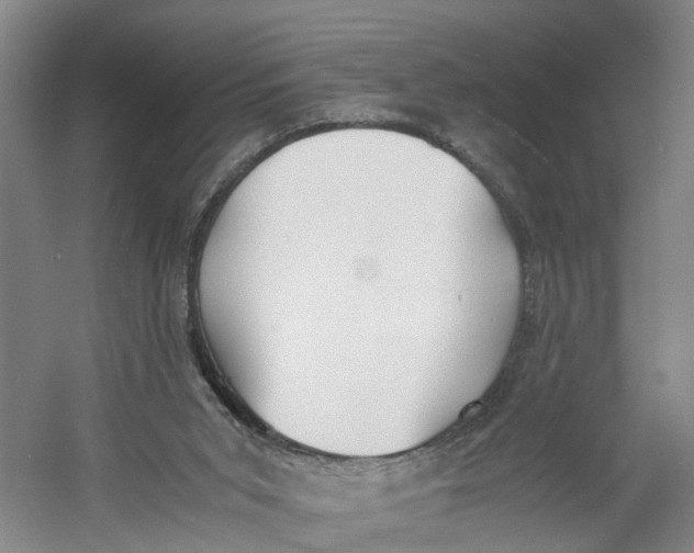 X0000060770015200512011624