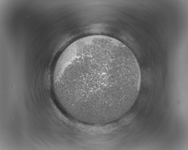 X0000060770016200512011624