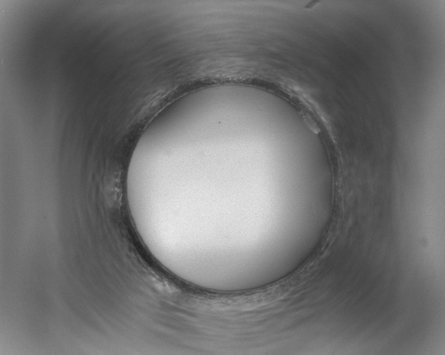 X0000060770017200512011624