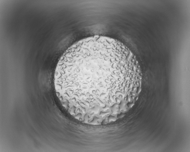 X0000060770018200512011624