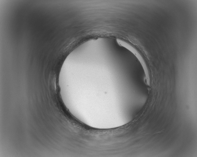 X0000060770021200512011624