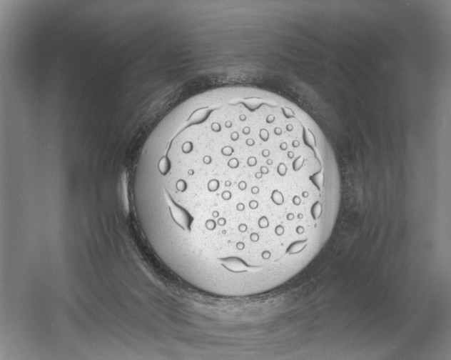 X0000060770022200512011624