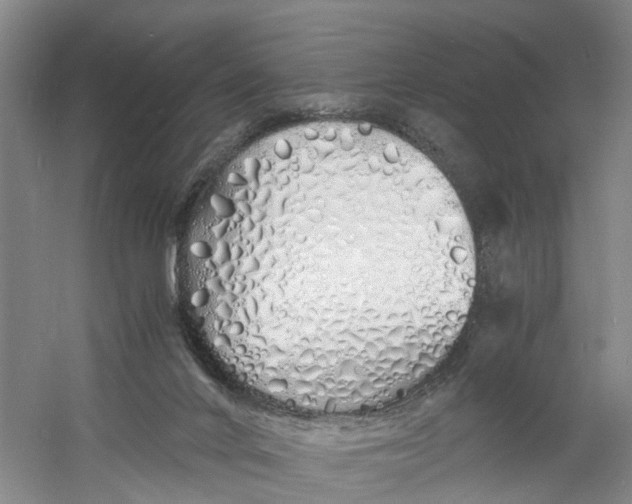 X0000060770024200512011624