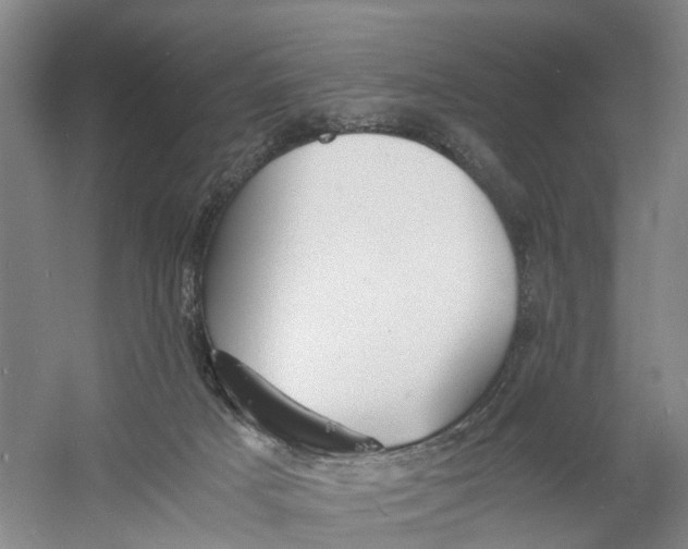 X0000060770025200512011624