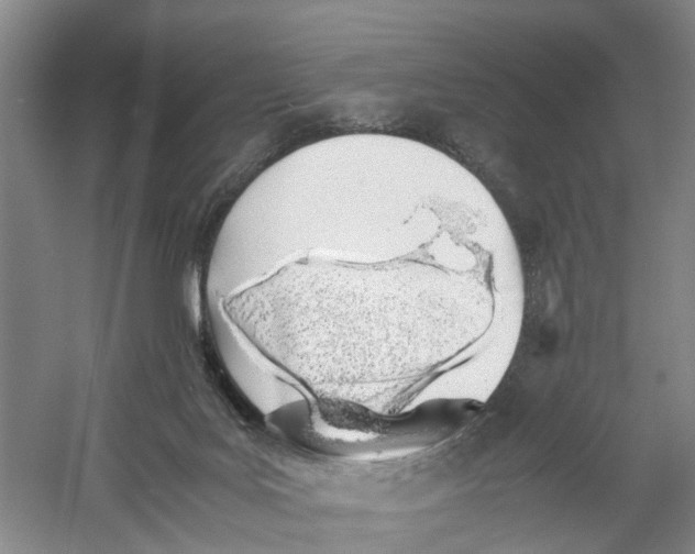 X0000060770027200512011624