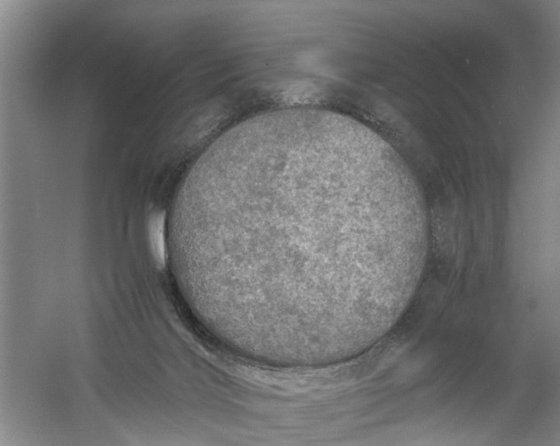 X0000060770028200512011624