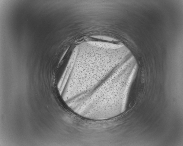 X0000060770029200512011624