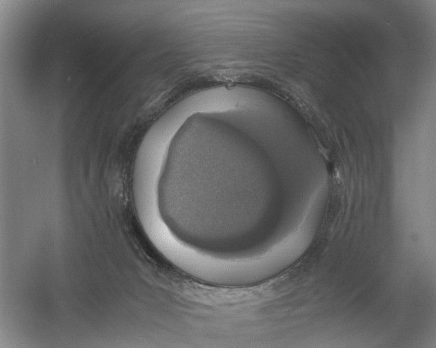 X0000060770031200512011624