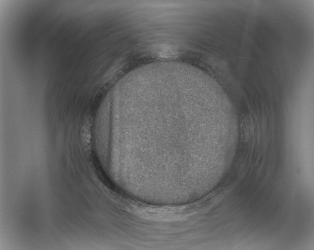 X0000060770032200512011624