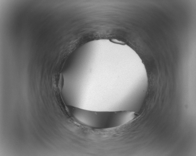 X0000060770033200512011624