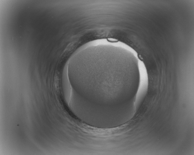 X0000060770035200512011624