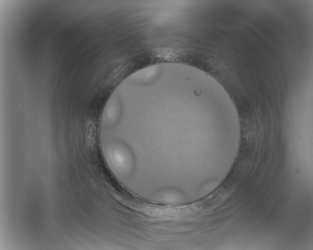 X0000060770036200512011624