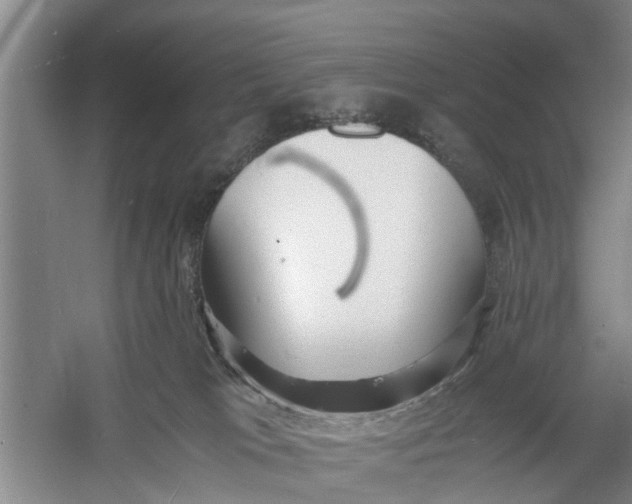 X0000060770037200512011624