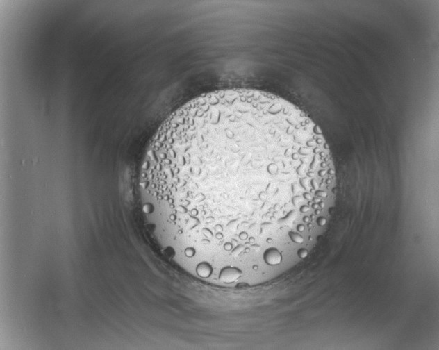 X0000060770038200512011624