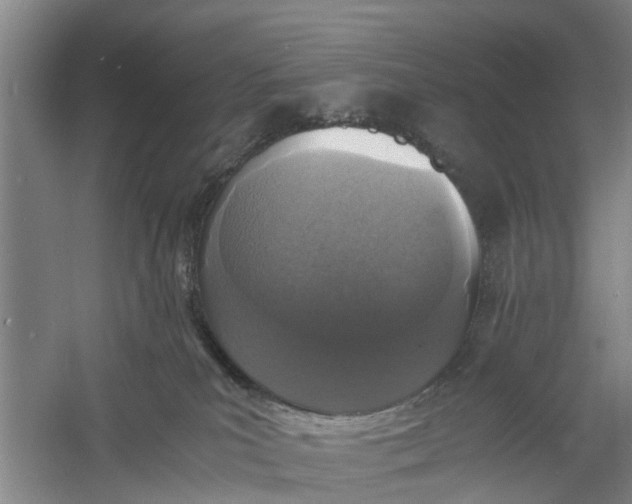 X0000060770039200512011624