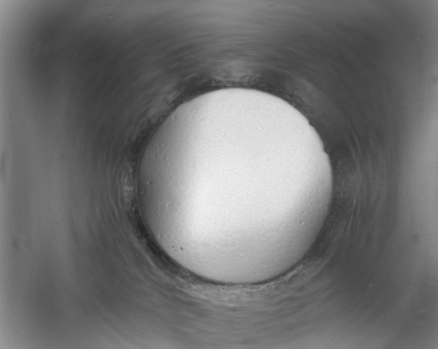 X0000060770040200512011624