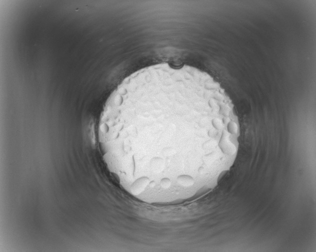 X0000060770042200512011623