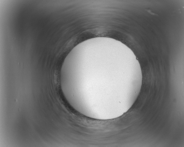 X0000060770044200512011623