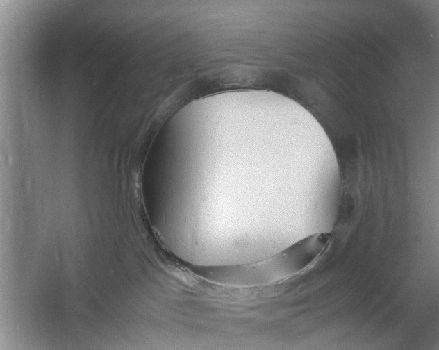 X0000060770045200512011623