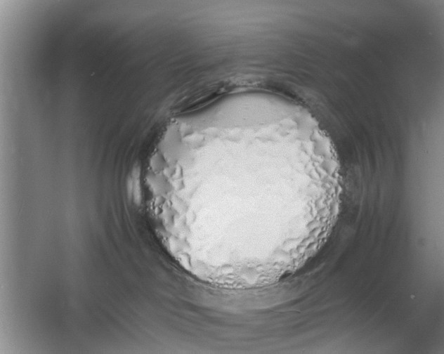 X0000060770046200512011623