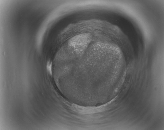 X0000060770047200512011623