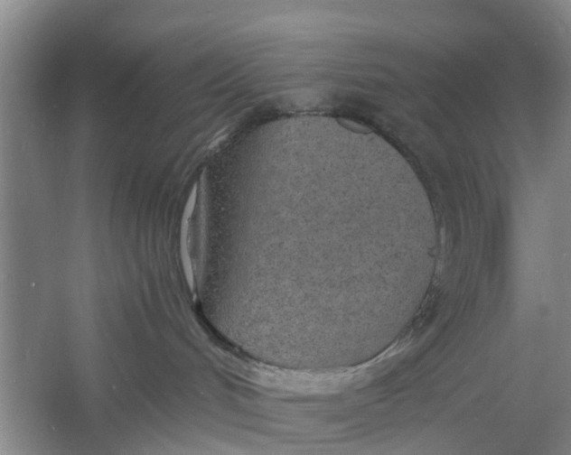 X0000060770048200512011623