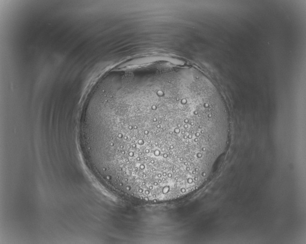 X0000060770049200512011623