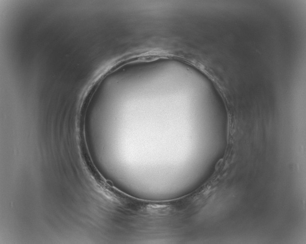 X0000060770055200512011623