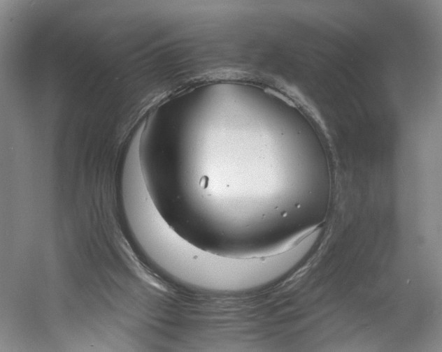 X0000060770057200512011623