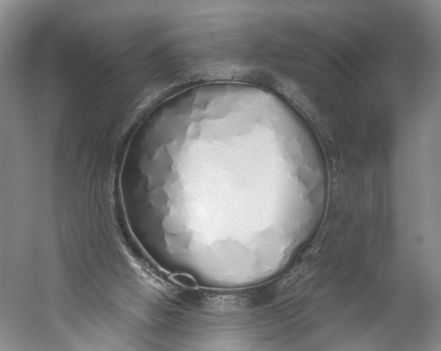 X0000060770058200512011623