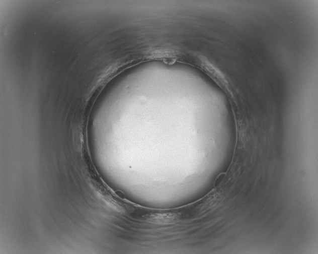 X0000060770059200512011623