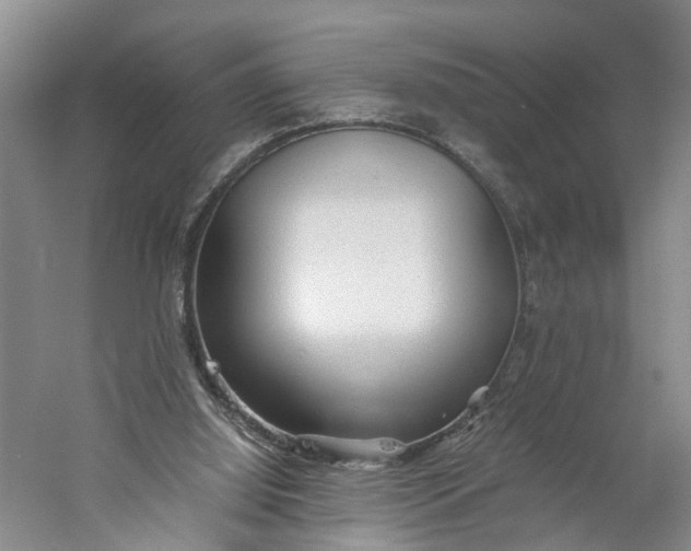 X0000060770060200512011623