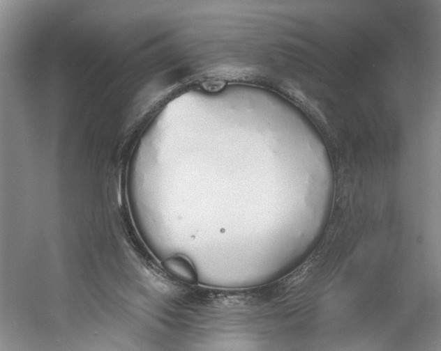 X0000060770062200512011623