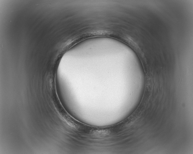 X0000060770063200512011623