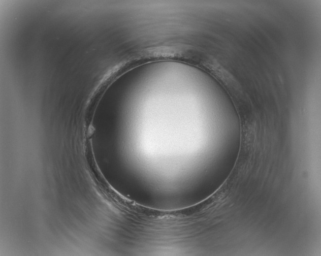 X0000060770064200512011623