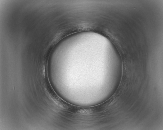 X0000060770067200512011623