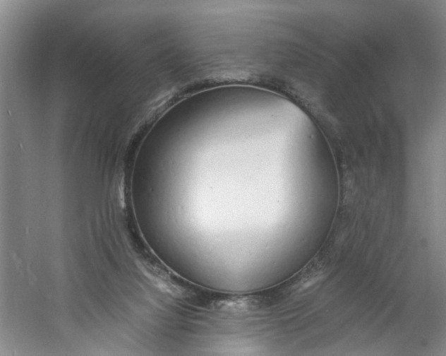 X0000060770068200512011623