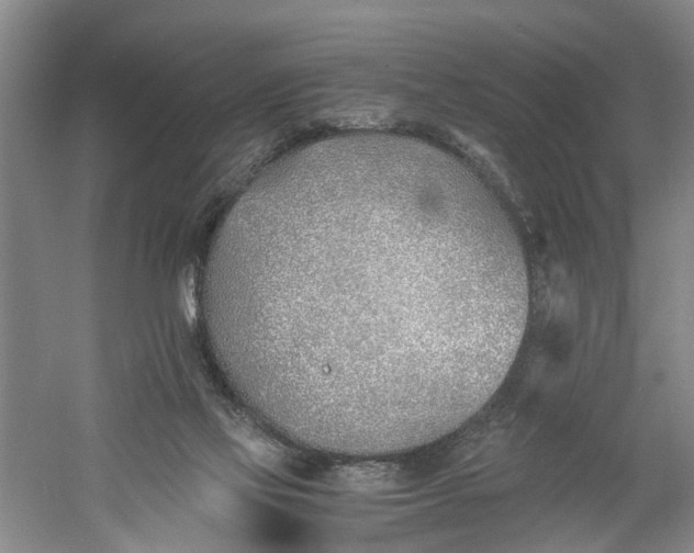 X0000060770069200512011623