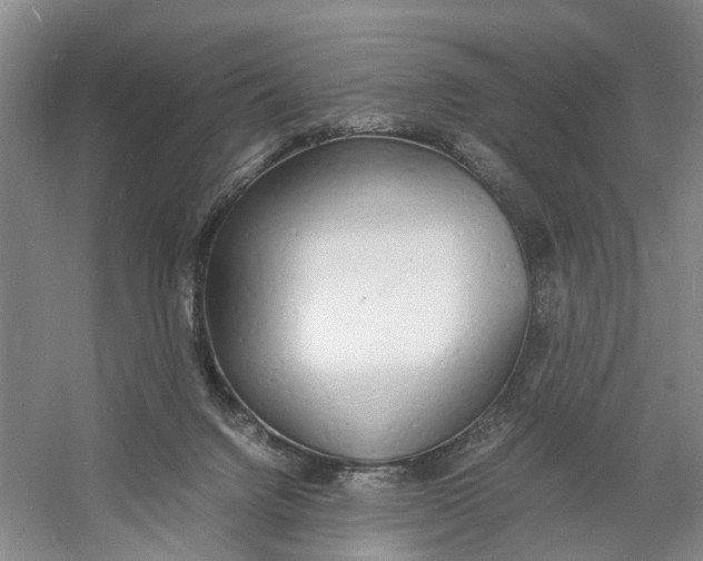 X0000060770072200512011623