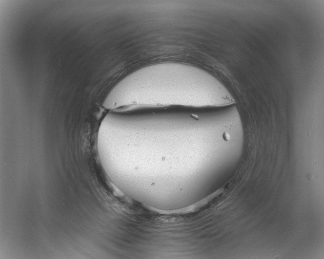 X0000060770073200512011623