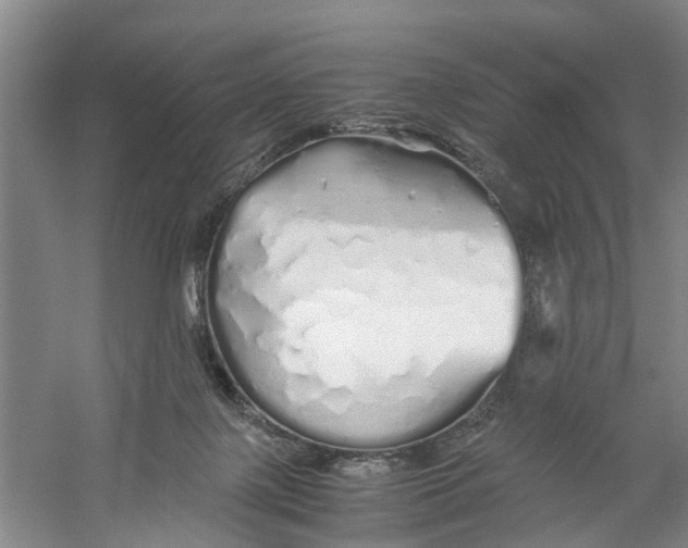 X0000060770075200512011623