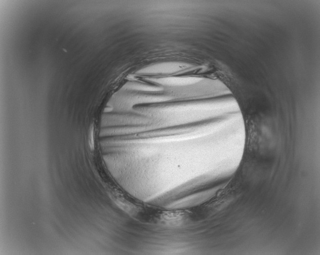 X0000060770076200512011623