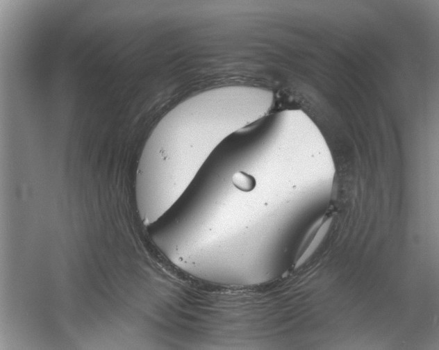 X0000060770077200512011623