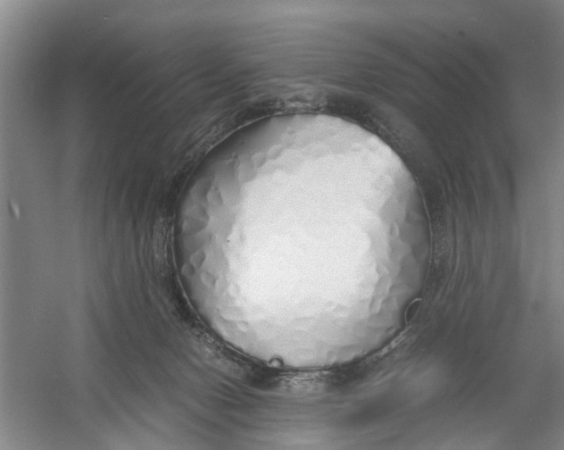 X0000060770078200512011623