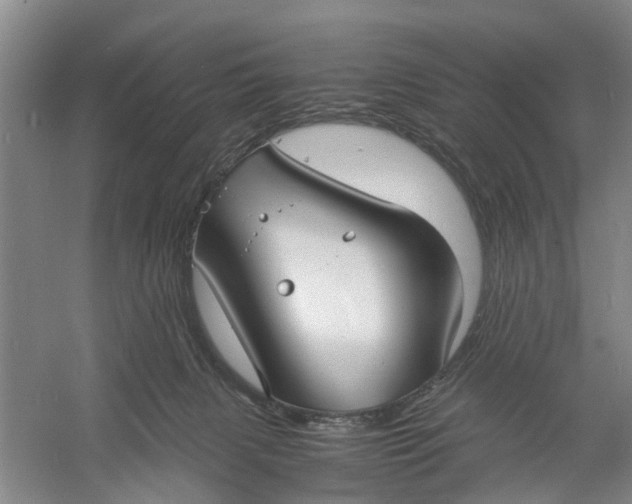 X0000060770079200512011623