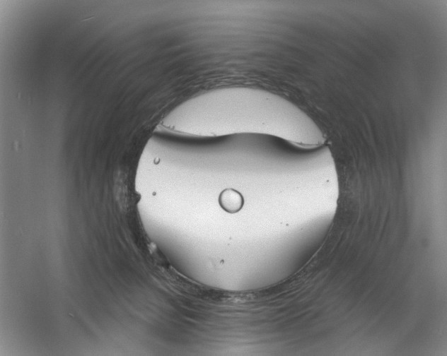 X0000060770080200512011623